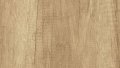 Light Nebraska Oak Wood Sample