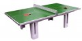 Butterfly Park Polymer Concrete Table Tennis Table