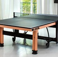 Indoor Table Tennis Tables