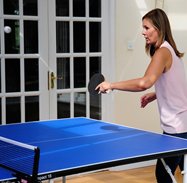 Butterfly Indoor Table Tennis Tables