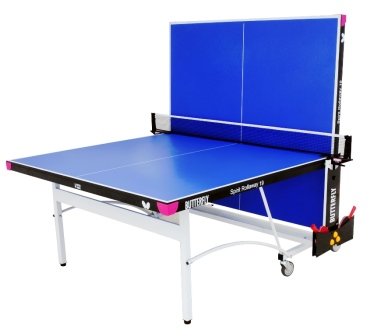  Butterfly Table Tennis 