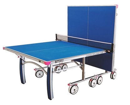  Butterfly Table Tennis 