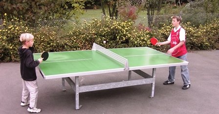  Butterfly Table Tennis 