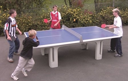  Butterfly Table Tennis 