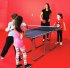 Butterfly 6'x3' Starter Indoor Table Tennis Table - Action