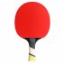 Cornilleau Perform 600 Table Tennis Bat