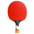 Cornilleau Perform 800 Table Tennis Bat