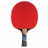 Cornilleau Excell 1000 ITTF Table Tennis Bat