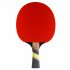 Cornilleau Excell 2000 ITTF Table Tennis Bat