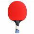 Cornilleau Perform 500 Table Tennis Bat