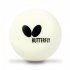 Butterfly Easy Ball 40+ Balls