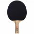 Cornilleau Sport 100 Table Tennis Bat