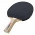 Cornilleau Sport 100 Table Tennis Bat